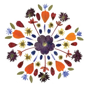 MANDALA - Geperste bloemkunstprint - Notitiekaart botanische kunst ontworpen met bloemen en bladeren, Tuinkaart, Bloemenkaart, Cirkelkunst