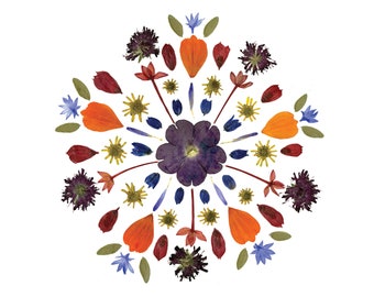 MANDALA - Pressed flower art print - Botanical art notecard designed from flowers and leaves, Garden card, Floral card, Circle art