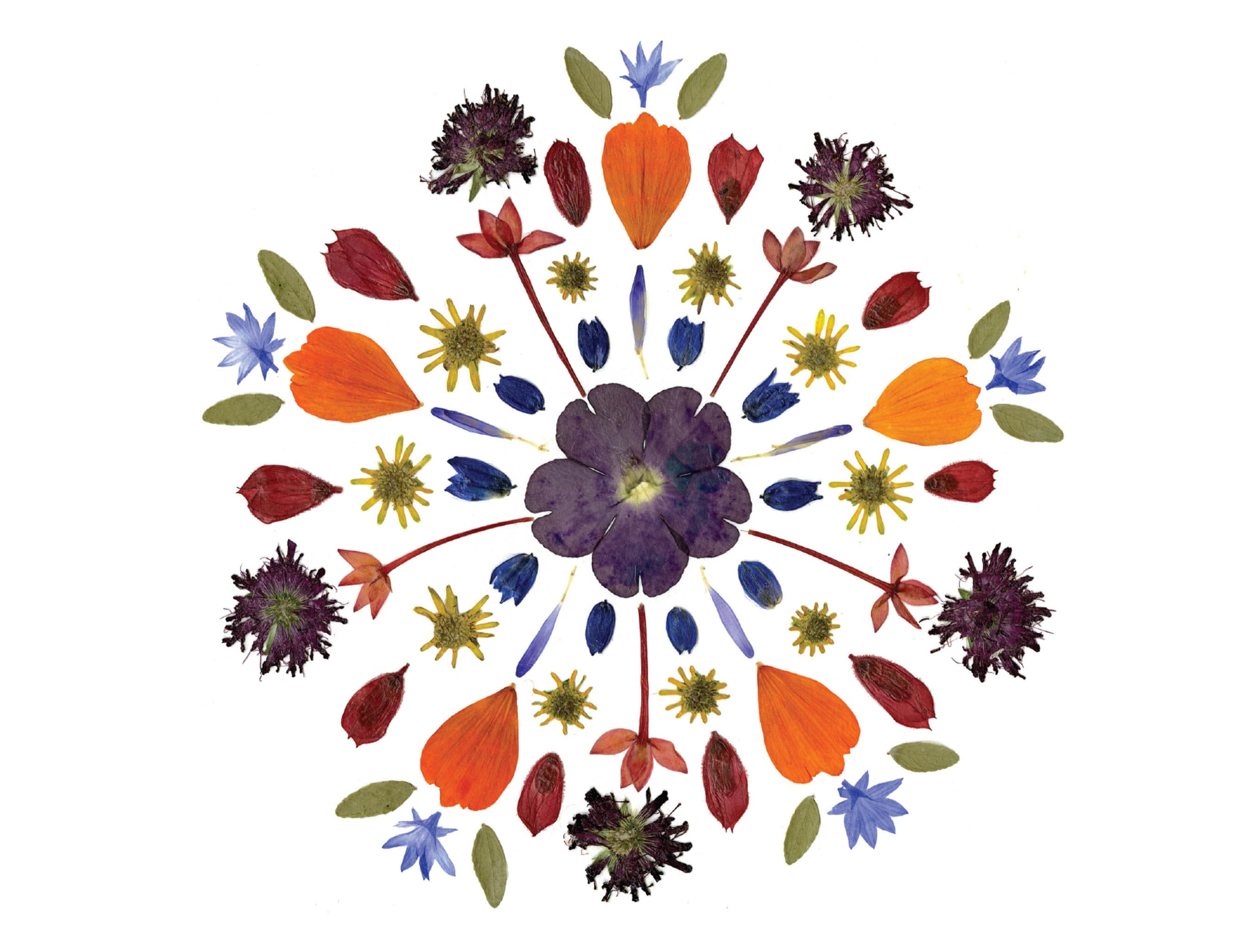 Biglietto Di Auguri Per Pensione Donna - Giardino Fiorito Con Rosa E Lavanda, Annaffiatoio E Cappello Di Paglia - Prodotto In Europa - 3