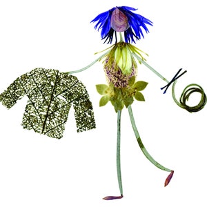 KNIT AND PURL - Carte de voeux botanique d'une tricoteuse avec un pull - Impression d'art fleurs pressées