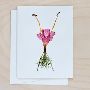 Pressed Flower Notecard Set: Botanical Art Cards for Gardener, print of petal people image 8
