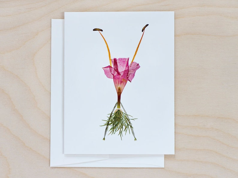 Pressed Flower Notecard Set: Botanical Art Cards for Gardener, print of petal people image 8