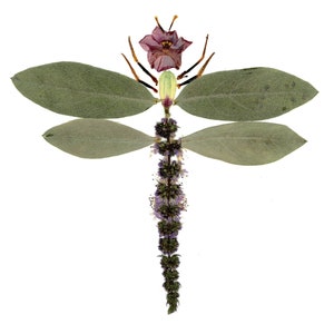LIBÉLULA - Tarjeta botánica, saludo de jardín - Petal People Press - Oshibana - Impresión de arte de flores prensadas - Wabi sabi