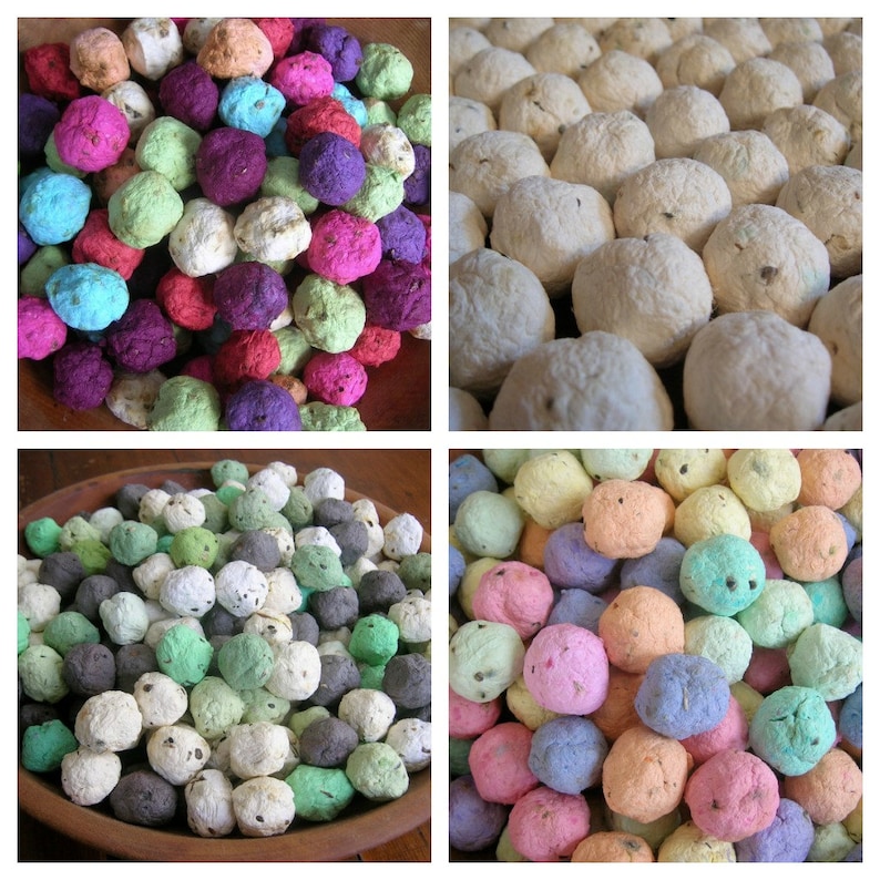 Seed Bombs PDF TUTORIAL How to Make Your Own Plantable Etsy