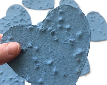 Plantable Paper Heart Sympathy Gift: Chinese Forget-Me-Not Seeds, Memorial Favor (set of 10)