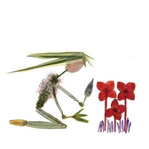 JARDIM - Impressão de arte botânica - Cartão criado com ervas e flores do meu jardim - Cartão de felicitações com flores prensadas de um jardineiro, Oshibana