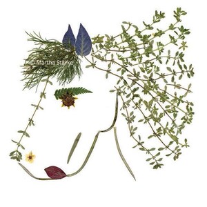 PRANCE - Botanische wenskaart van een paard - Geperste bloemenkunst - Notitiekaart kunstdruk gemaakt van geperste bloemen en kruiden - Paarden