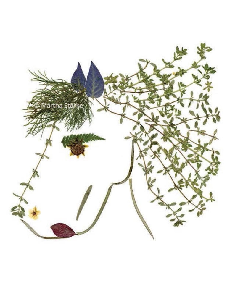May include: A horse silhouette created with pressed flowers and leaves. The horse's mane is made of green leaves, the ears are purple, and the nose is a yellow flower.