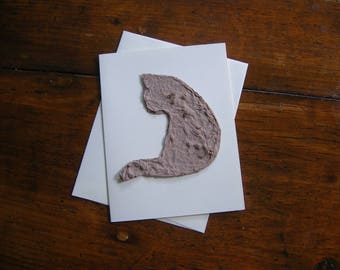 Plantable seed paper pet sympathy card for a cat lover - Made from reycled paper & Chinese Forget-Me-Not seeds - Feline blank greeting card