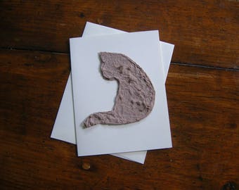 Cat sympathy card, Plantable paper pet sympathy card, Made from reycled paper & Chinese Forget-Me-Not seeds - Feline blank greeting card