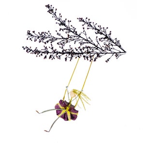 Geperste bloemenkunstprint van een meisje op een schommel - WHEEEE! - Notitiekaart Botanische kunst gemaakt van bloemen en bladeren, Bloemenkaart, Tuinkaart