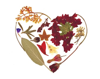 HEART - Valentine's Day card, Wedding, Anniversary, Engagement, I Love You, sympathy card, Garden notecard, Pressed flower art stationery