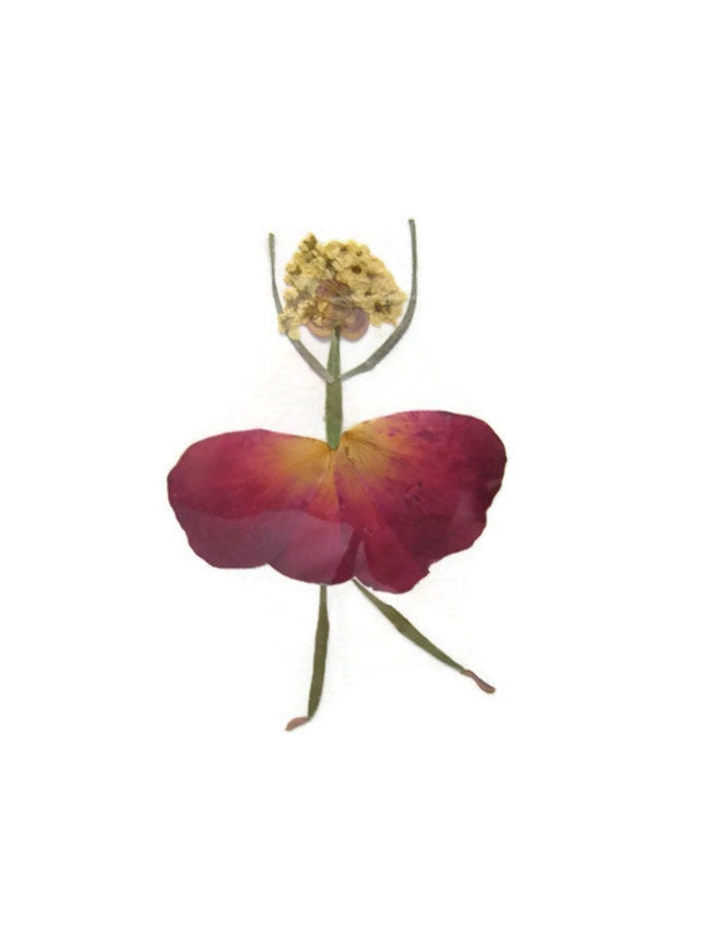 Pressed flower art PDF TUTORIAL How to make your own Petal Etsy