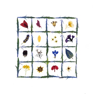 COLCHA DE FLORES - Impressão artística de flores prensadas, Papelaria criada a partir de pequenas flores e folhas de flores silvestres e plantas, Cartão de jardim