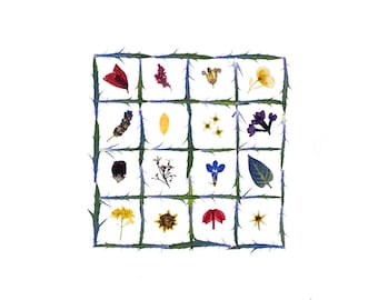Pressed Flower Art Print: Botanical Quilt Notecard