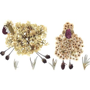 OVELHA - Cartão de nota botânica, Vida no campo, Saudação no jardim, Oshibana - Impressão de arte de flores prensadas de duas ovelhas brincando