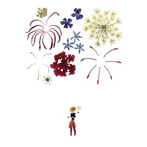 FEUX D'ARTIFICE - Carte d'art florale pressée - Impression d'art botanique, impression de carte de correspondance conçue à partir de fleurs et de feuilles, Saint-Sylvestre, 4 juillet