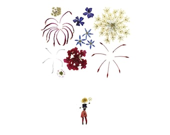 Pressed Flower Art Card – Botanical Fireworks Print, New Year, July 4th