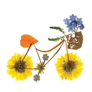 Impression d'art florale pressée d'un vélo - PÉDALES DE FLEURS - Art botanique, carte pour lettres créée à partir de fleurs et de feuilles, carte de jardin, carte de fleurs