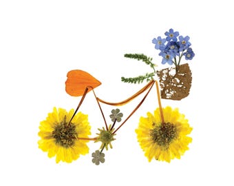 Flower Pedals - Pressed Flower Bicycle Art Card Print: Botanical Garden Design