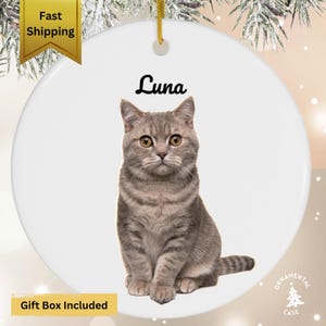 Personalized Pet Ornament, Custom Dog Christmas Ornament, Pet Memorial Ornament, Cat Christmas Photo Ornament, Pet Portrait Name Gift