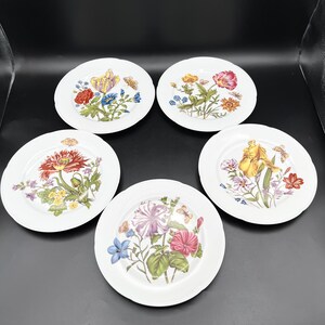 Rochard Limoge Plate - Etsy