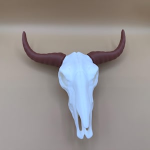 Bull Skull, Animal Skull, Skull Decor