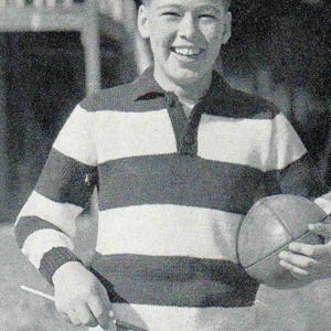 Vintage Geelong Cats-trui breipatroon (pdf-download)