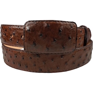 May include: A brown leather belt with an ostrich skin pattern. The belt has a silver buckle.