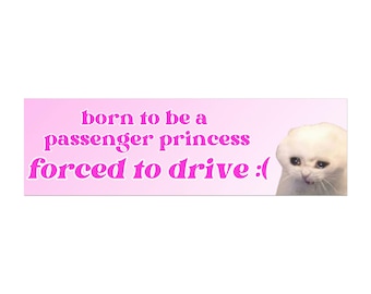 Passenger Princess Funny Bumper Magnet, Literally Just A Girl, Gen Z Car Magnet, Cat Bumper Magnet, Cute Car Accessories, New Driver Gift