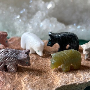 May include: Six small carved stone bear figurines in various colors, including pink, white, black, gray, green, and beige. Each bear has a turquoise blue eye.