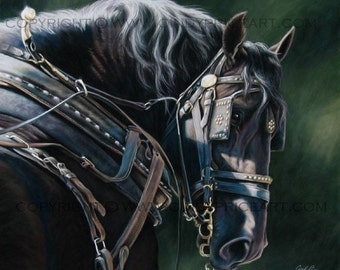 Workhorse Black Percheron Draft Horse in Harness Print of original pastel painting Equine Art by Cindy Price McMurray