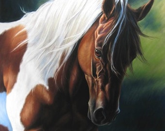 Painted Beauty - Paint Quarter Horse print of original pastel painting