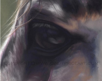 Horse Eye equine art Print of Original pastel painting drawing. Window to the Soul 3