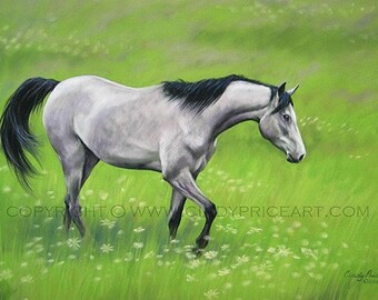 Daisy Fields - Arabian Horse Print of Painting