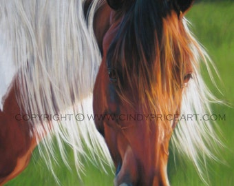 Paint Pinto Horse - Print of original pastel painting drawing equine art animal