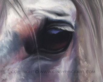 Horse Eye equine art Print of Original pastel painting drawing. Window to the Soul 9