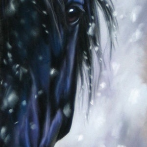 Snow Face - Friesian Black Horse Print of original pastel