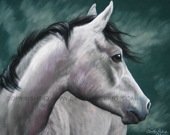 Looking Back - Arabian Horse Print of original pastel painting