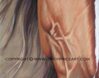 Eye on You - Print of original pastel painting drawing equine art by Cindy Price