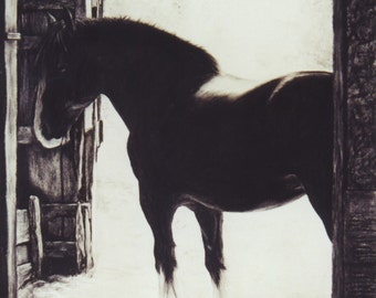 Shire Clydesdale Draft Horse Print of original drawing painting equine art