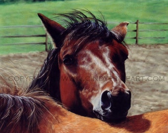 Head Rest - Pony Horse Print of original painting by Cindy Price