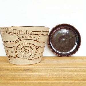 Stoneware Patchwork Planter Pot in Turkish Amber Glaze, Garden Pottery, Textured Ceramic Planter with drip tray image 8