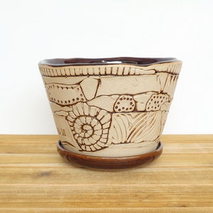 Stoneware Patchwork Planter Pot in Turkish Amber Glaze, Garden Pottery, Textured Ceramic Planter with drip tray image 3