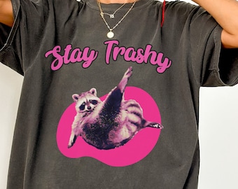 Vintage 90er Jahre Waschbär-T-Shirt: Retro Y2k Pink Meme, Comfort Colors
