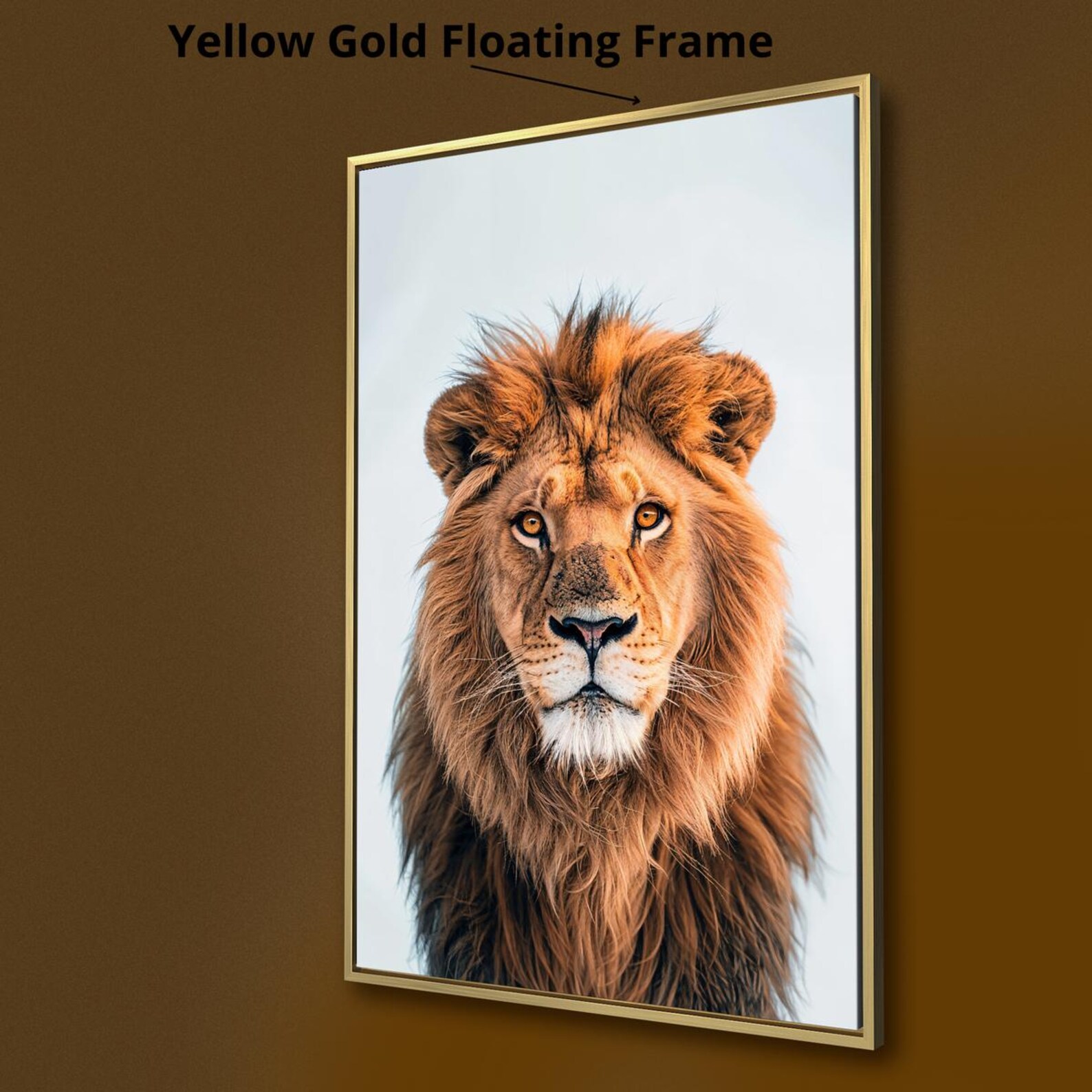 Majestic Lion Portrait Framed Canvas Wall Art King of the Jungle Print