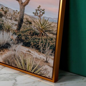 Joshua Tree Desert Landscape Framed Canvas Wall Art, California ...