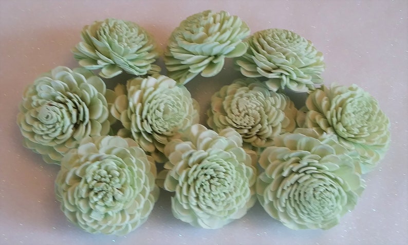 Set of 10 Sola Wood Flowers 2 size Mint Painted Wedding Flowers Home Decor Flowers Crafts Floral Bouquet Sola Wood Bali