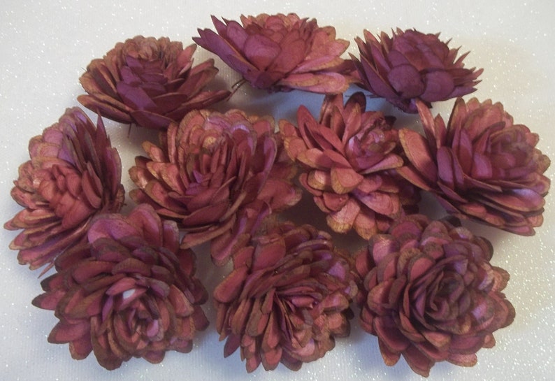 DIY Sola Wood Almond Wedding Flowers Wine 2 size Crafts Wedding Skins Home Decor Sola Wood Flowers Dyed Set of 10