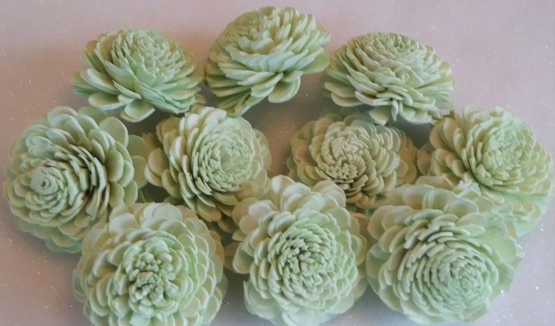 Set of 10 Sola Wood Flowers 2 size Mint Painted Wedding Flowers Home Decor Flowers Crafts Floral Bouquet Sola Wood Bali